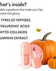 Amuse SEOUL BEBE TINT - 05 NUDE PUMPKIN | 24-hour Long-lasting Lip Stain, Plumping, Hydrating, Moisturizing, No Peel Off, Lip Care, Treatment, Non Sticky, Korean Lip Tint for Dry Lips