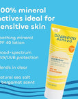 Seaweed Bath Co. Everyday Mineral SPF 40 Broad Spectrum Sunscreen Lotion, 3.4 Ounce, Sustainably Harvested Seaweed, Sea Kale, Prebiotics