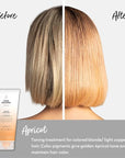 FOUR REASONS Color Mask - Apricot - (27 Colors) Toning Treatment, Color Depositing Conditioner, Tone & Enhance Color-Treated Hair - Semi Permanent Hair Dye, Vegan and Cruelty-Free, 6.76 fl oz