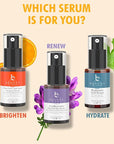 Face Serum - Vitamin C Serum for Face Anti Aging Serum with Hyaluronic Acid & Ferulic Acid Brightening Serum, Anti Wrinkle Serum for Face (2 Fl Oz)
