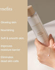 I'm from Rice Toner, Milky Toner for Glowing Skin, Korean Rice, Glow Essence with Niacinamide, Hydrating for Dry, Dull, Combination Skin, Vegan, Fragrance Free, Glass Skin 5.07 Fl Oz