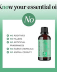 Pure Eucalyptus Essential Oil for Diffuser - Natural Eucalyptus Aromatherapy Diffuser Oil for Scalp Hair Skin and Nails - Undiluted Eucalyptus Essential Oils for Diffusers for Home and Self Care
