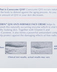 Eucerin Q10 Anti-Wrinkle Face Cream, Unscented Face Cream for Sensitive Skin, 1.7 Oz Jar