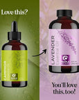 Pure Undiluted Camphor Essential Oil - 100% Pure Camphor Oil for Aromatherapy and Beauty DIYs Great for Soothing Skin and Clearing Chest - Outdoor Diffuser Oil for Patios and Porches (4 Fl Oz)