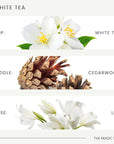 The Magic Scent White Tea Diffuser Oil - Hotel & Home Luxury Scents - Diffuser Oil Scents for Home Designed for Use in All Diffusers - 8.5 fl oz, 250 mL