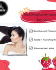 Naturevibe Botanicals Red Raspberry Oil 32 Ounces | 100% Pure and Natural | Great for Skin Care and Hair Care
