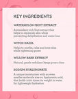 Bliss What a Melon Replenishing Watermelon Hyaluronic Acid Toner - 7 Fl Oz - Witch Hazel & Willow Bark - Hydrates, Refreshes and Energizes Tired Skin - Clean - Vegan & Cruelty-Free