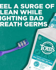 Tom's of Maine Sea Salt Natural Alcohol-Free Mouthwash, Refreshing Mint, 16 Fl Oz (Pack of 6)(Packaging May Vary)