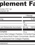 Ancient Nutrition Collagen Peptides Powder, Multi Collagen Protein, Women & Men, Vitamin C, Probiotics, Hydrolyzed Collagen, Supports Skin, Joints, Gut Health, Unflavored, 40 Servings