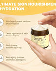 Beef Tallow and Honey Balm for Skin, Natural Face + Body Moisturizer with Organic Grass-Fed Beef Tallow & Raw Wild Honey for Dry & Sensitive Skin, 4.23oz