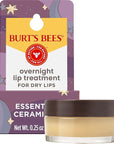 Burt's Bees Overnight Intensive Lip Treatment,