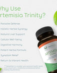 Artemisia Trinity | Cleansing for Adults with Wormwood Herb & Artemisinin 30:1 Extract | Resistance & Digestive Support | Herbal Supplements | Pure, Plant-Based, 90 Caps