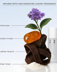 XMONDO Color 5G Golden Brown - Semi-Permanent Dye with Bond Booster to Nourish & Repair, Vegan, 8 oz