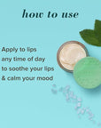 Burt's Bees Lip Mask Set- Overnight