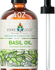 EVOKE OCCU Basil Essential Oil for Skin Massage Diffuser and Candle Making- 4 Fl Oz