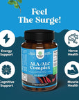 Pure Alpha Lipoic Acid Supplement with Acetyl L-Carnitine - Natural ALA ALC Amino Acids Boost Memory Support Mental Performance and Raise Energy Levels Metabolism - 60 Capsules