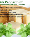 Vintage Tradition Beef Tallow All Purpose Balm - Healing, Hydrating Peppermint Oil Skin Care Salve Replaces Body Lotion, Hand Cream, More - Essential Oil, Olive Oil, and Grass-Fed Tallow, 2 fl. oz.