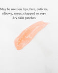 C.O. Bigelow Lip Balm Tube Trio, oz
