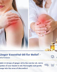HIQILI 1 Fl Oz Ginger Oil, 100% Pure Natural Ginger Essential Oil for Hair, Massage, Skin - 30ml