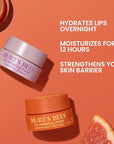Burt’s Bees Stocking Stuffers, Moonlight Orchard Lip Sleeping Mask, With Hyaluronic Acid and Squalane Moisturizer To Instantly Hydrate Lips, Overnight Lip Mask, Lip Treatment Christmas Gifts, 0.45 oz.