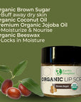 Earth's Daughter Organic Brown Sugar Lip Scrub 0.7 oz - USDA Organic Lip Exfoliator Scrub for Dry Lips - Fair Trade, Brown Sugar, Jojoba Oil, Beeswax, Coconut Oil - Scrubber Exfoliator