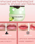 1 PCS Bee Lip Balm Honey