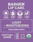 Badger Classic Organic Lip Balm Set - Yellow Box, Light Silky Long Lasting Lip Moisturizer Gift Set, All Natural Lip Balm Variety Pack Lip Set (Tangerine, Lavender Orange, Vanilla, Grapefruit), 4 pack