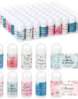 72 Pcs Mini Lip Balm Bulk All