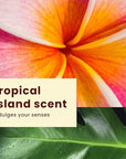 Hawaiian Tropic Sheer Touch Lotion Sunscreen, Ultra Radiance SPF 15, 8 oz (Pack of 2)