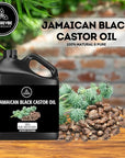 Naturevibe Botanicals Jamaican Black Castor Oil 32 Ounces | 100% Pure and Natural | Great for Skin Care and Hair Care