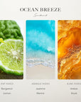 Scentiment Hotel Diffuser Oil Discovery Kit | Inspired by Five Star & Luxury Hotel Scents | Aromatherapy Oils with Notes of Cardamom, Tuscan Leather, and Sandalwood (20ml, Top 5 Scents)