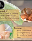Naturevibe Botanicals Evening Primrose Oil 32 Ounces | 100% Pure and Natural | Great for Skin Care and Hair Care
