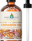 EVOKE OCCU Cinnamon Essential Oil - Warm Fall Scent for Diffuser, Spray, Soap, Candles, Hair & Skin Care - 4 Fl Oz