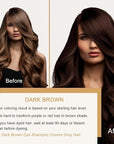 Dark Brown Hair Dye Shampoo 3 in 1, Hair Color Shampoo for Gray Coverage, Long Lasting Brown Hair Dye, Champu Para Canas, Works in Minutes, Easy to Use, 16.90 Fl Oz