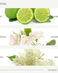 The Magic Scent Royal Hotel Diffuser Oil - Cold-Air & Ultrasonic Scented Oils for Diffuser Inspired by The Ritz Hotel, London - Essential Oils for Diffusers Aromatherapy - 8.5 fl oz, 250 mL