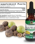 Nature's Answer Black Walnut Green Hull Extract 1oz - Alcohol-Free, Gluten-Free, Kosher - Black Walnut, Wormwood Black Walnut Clove Parasite Cleanse - Detox & Liver Support, Digestive Cleanser