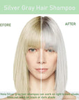 Fvquhvo Silver Gray Hair Dye Shampoo, Hair Color Shampoo for Women Men, Long Lasting Silver Grey Hair Dye, Champu Para Canas, Colors in Minutes, Easy to Use, 16.90 Fl Oz