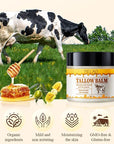 Whipped Beef Tallow and Honey Balm, Grass Fed Grass Finished Face Cream for All Skin Types - Grass-Fed Beef Tallow & Raw Wild Honey Blend - All-Natural Moisturizer for Face & Body, 2 OZ