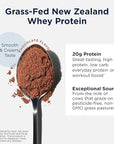 Designs for Health WheyCool - Grass Fed Whey Protein Powder Supplement with 20g Protein, May Support Athletes, Muscles + Energy - Non-GMO + Gluten-Free, Chocolate (30 Servings / 900g)