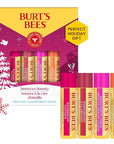 Burt's Bees Lip Balm Gift Set, Beeswax Bounty Fruit Mix, 0.15 Oz, 4 Count