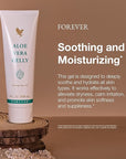 Forever Living - Forever Aloe Vera Gelly - Pure Aloe Gel - Soothes, Moisturizes, and Conditions - Vegan, Vegetarian, Gluten-Free - 4 fl oz. (2 Pack)