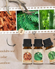 Woody Essential Oils Set, Fragrance Oil Set for Diffuser, Scent Diffuser Oil for Candle Making- Sandalwood, Cedar, Bamboo, Teak, Vetiver, Forest Pine