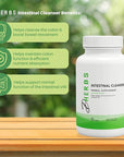 Intestinal Cleanser Digestion Supplement - Digestive System Cleanse Capsules Made with Pure Herbs - Colon Cleanse Supplement for Overall Gut Wellness by DHerbs - 100 Vegetarian Capsules