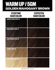 IGK Permanent Hair Dye Color Kit | 5GM Warm Up - Golden Mahogany Brown | 100% Gray Color Coverage + Strengthen + Shine | Ammonia Free