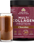 Ancient Nutrition Hydrolyzed Collagen Peptides Powder with Probiotics, Chocolate Multi Collagen Protein for Women and Men with Vitamin C, 40 Servings, Supports Skin and Nails, Gut Health, 16.65oz