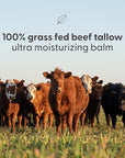 100% Grass Fed Beef Tallow for Skin, Body and Face | Moisturizing Honey Balm Scented with Cinnamon, Rosemary, Peppermint and Clove Bud Essential Oils | Suitable For Dry & Irritated Skin, 2 oz (57g)