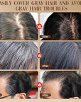 2-in-1 Hair Color Stick & Comb, Waterproof and Sweat-Proof Hair Dye Comb, Instant Convenient Root Touch Up for Gray Hair, Touch up Comb for Women & Men (Black)