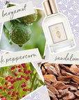 Tocca Women's Perfume (20 ml) & Dry Body Oil (100 ml) Set in Colette - Warm Floral, Bergamot, Sandalwood, Pink Peppercorn