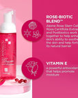 Andalou Naturals 1000 ROSES Gentle Cleansing Foam Face Wash, Hydrating Foaming Facial Cleanser with Rosewater & Aloe for Women & Men, Non Toxic, Vegan