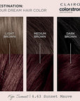 Clairol ColorStrong Permanent Zero Ammonia Hair Dye, 4.63 Sunset Mauve - Fiji Sunset Hair Color, Pack of 1